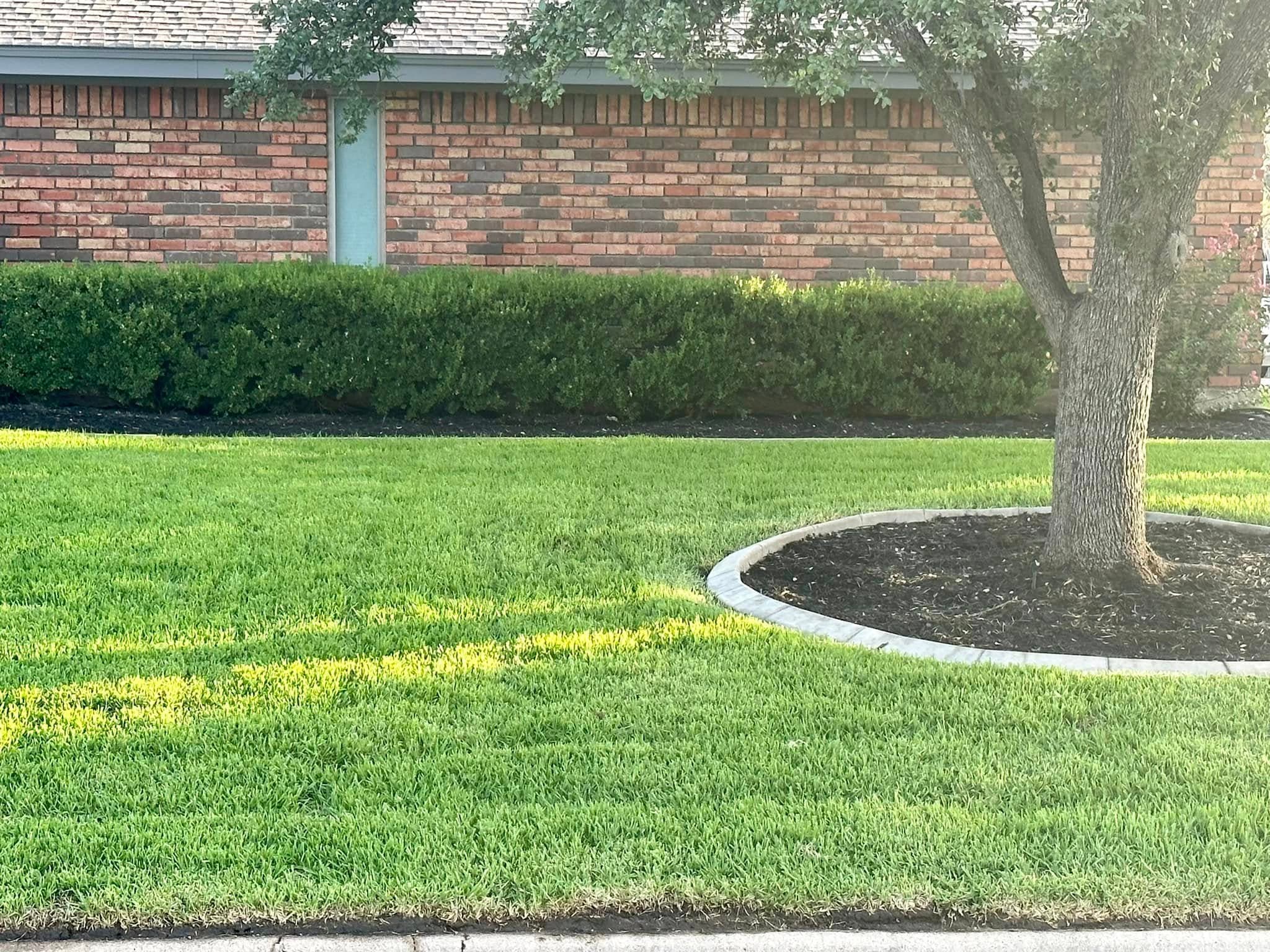 Maintained green front lawn and trimmed hedge at an Abilene home